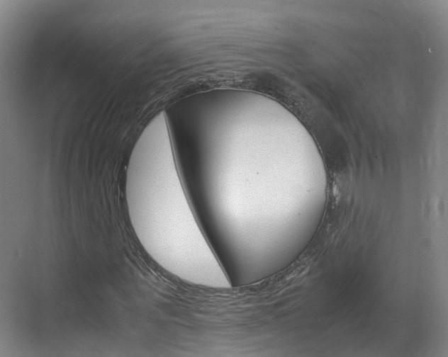 X0000071810867200606301033