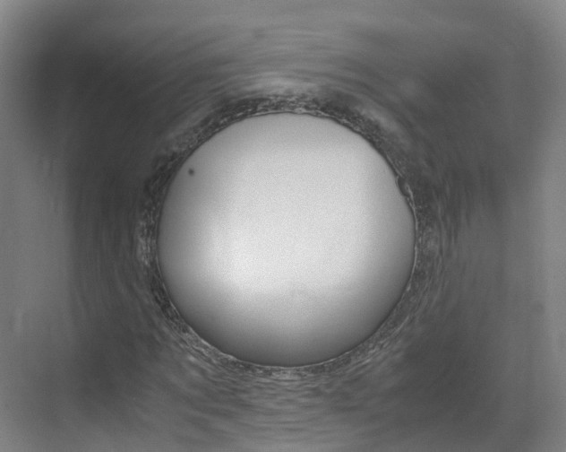 X0000071810869200606301033