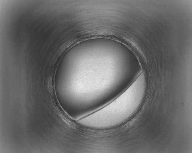 X0000071810881200606301033