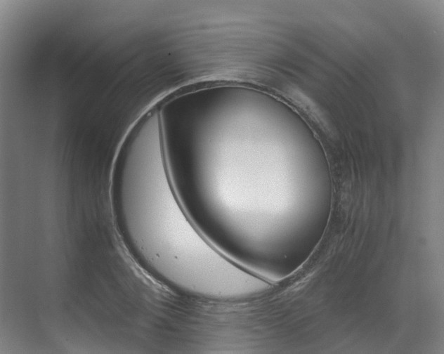 X0000071810884200606301033