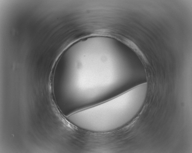 X0000071810908200606301032