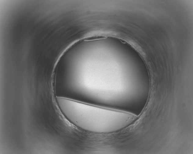 X0000071810912200606301032