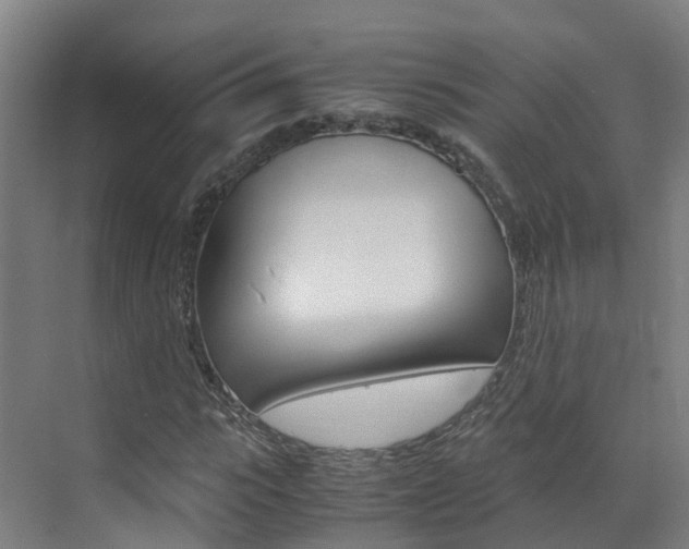 X0000071810919200606301031