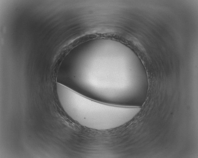 X0000071810920200606301031