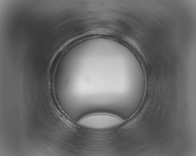 X0000071810923200606301031
