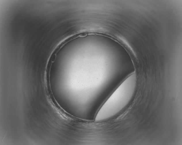X0000071810932200606301032
