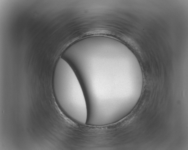 X0000071810937200606301032