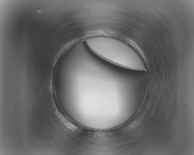 X0000071810938200606301032