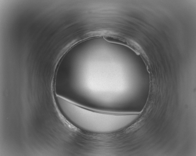 X0000071810946200606301032