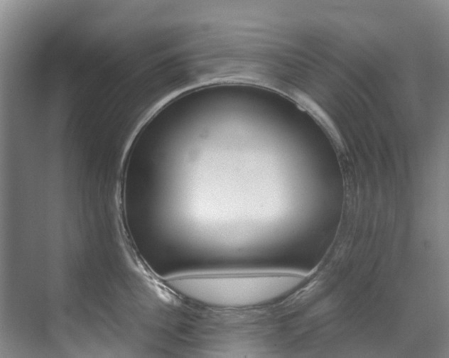 X0000071810956200606301032