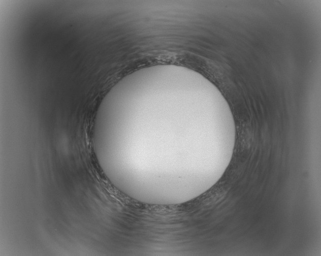 X0000071810962200606301031