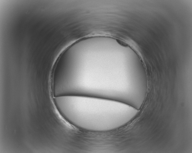 X0000071811003200606301031