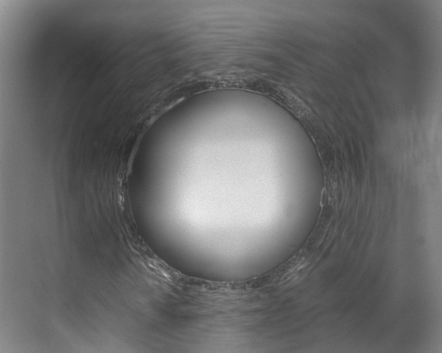 X0000071811010200606301030