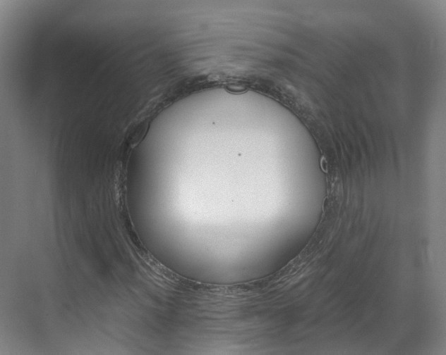 X0000071811012200606301030