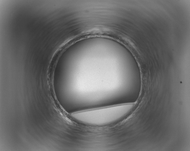 X0000071811018200606301030