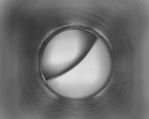 X0000071811021200606301030