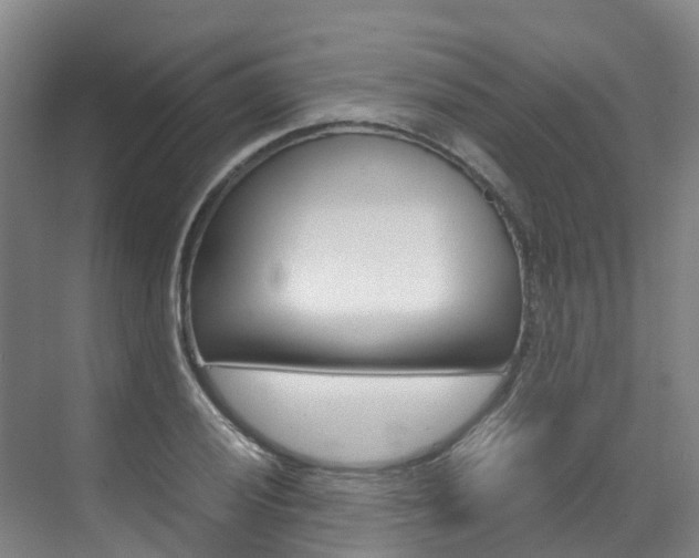 X0000071811028200606301030