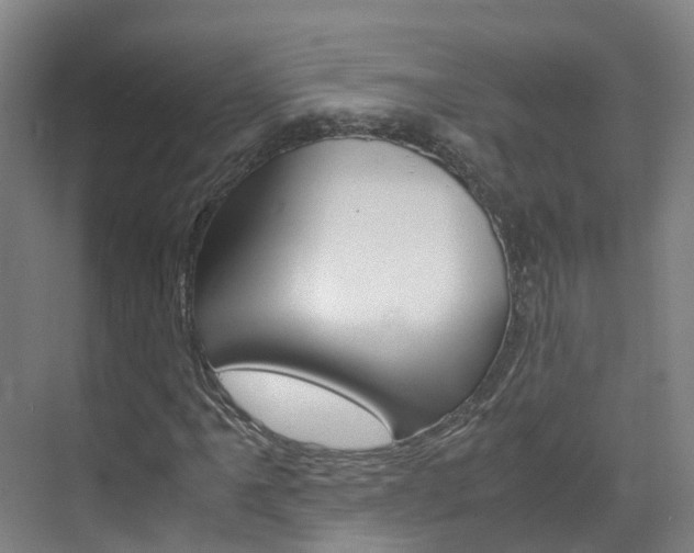 X0000071811061200606301030