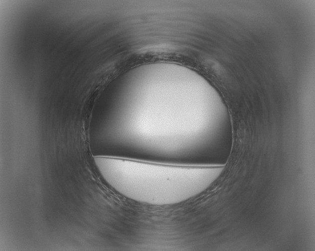 X0000071811062200606301030