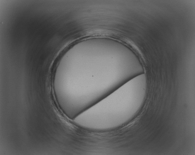 X0000071811075200606301029