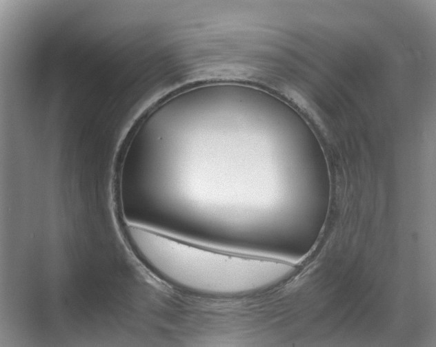 X0000071811085200606301029