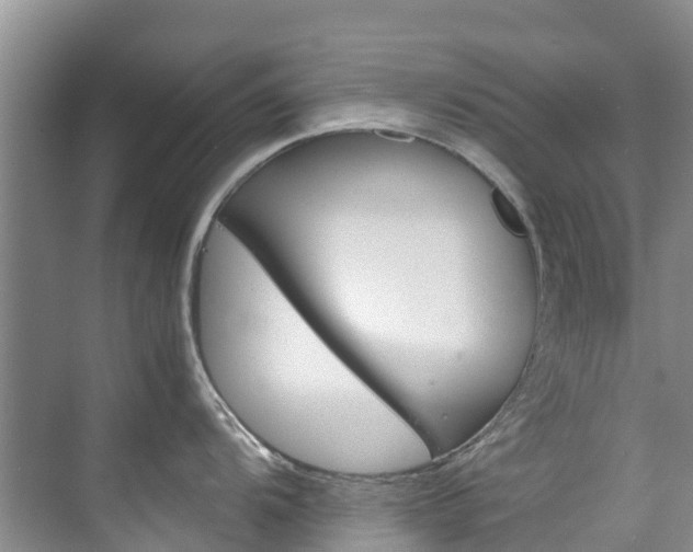 X0000071811104200606301029