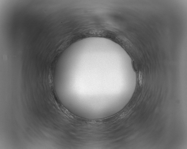 X0000071811107200606301028