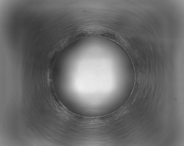 X0000071811108200606301028