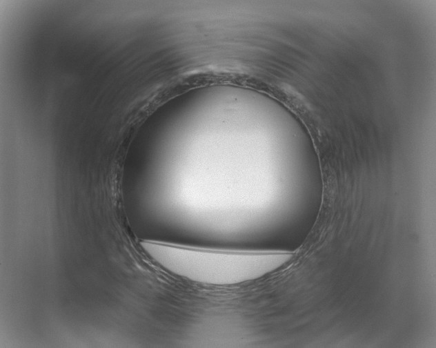 X0000071811110200606301028
