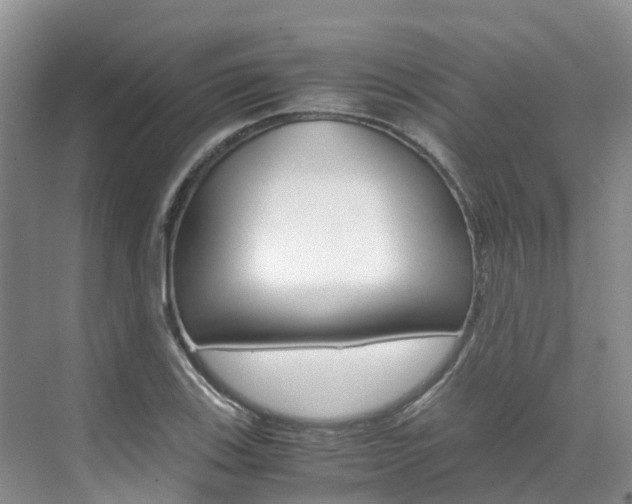 X0000071811123200606301028