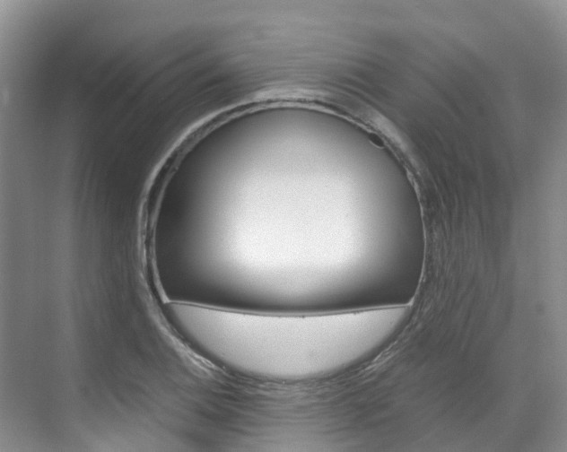 X0000071811124200606301028