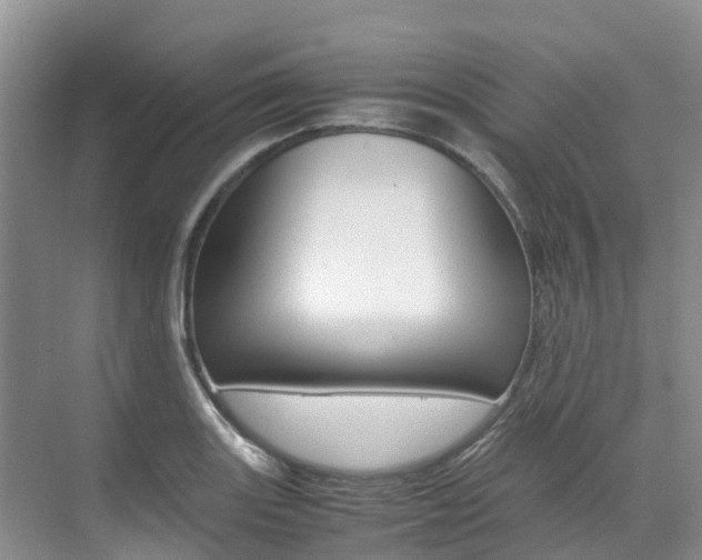 X0000071811131200606301028