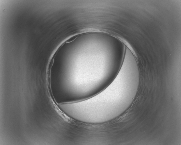 X0000071811148200606301029