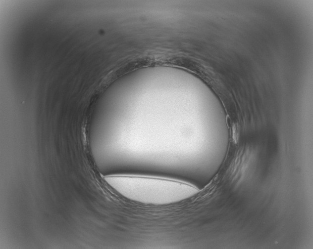 X0000071811155200606301028