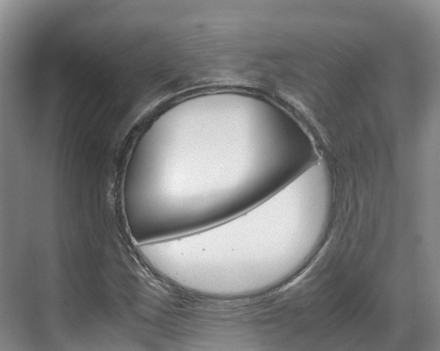 X0000071811163200606301028
