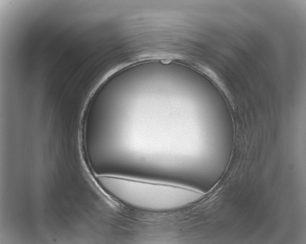 X0000071811187200606301027