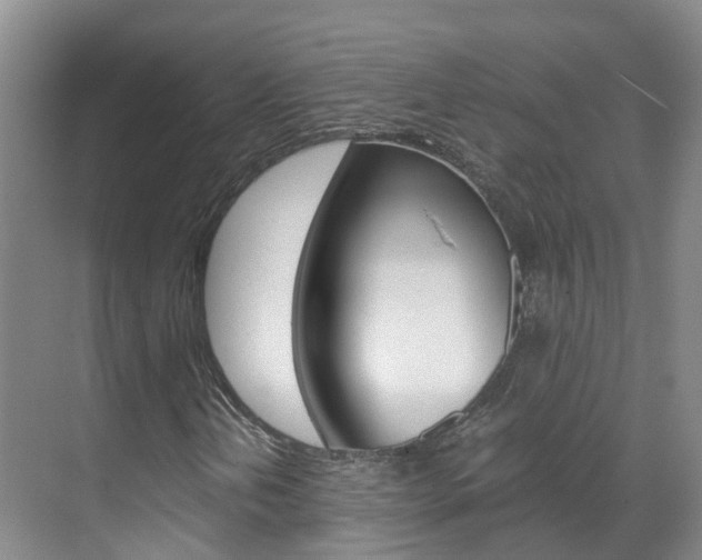 X0000071811202200606301026