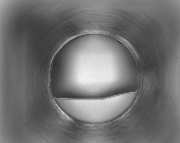 X0000071811244200606301027
