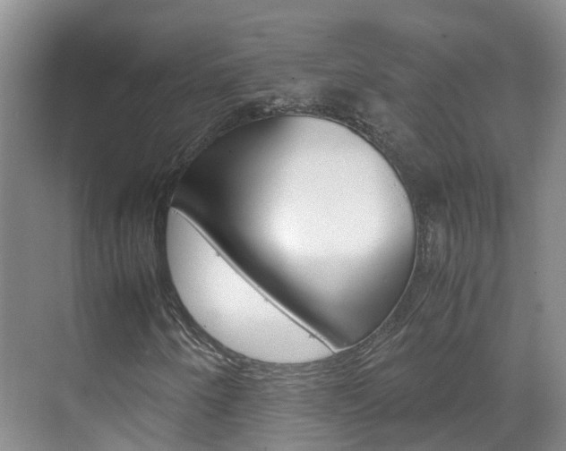 X0000071811250200606301026