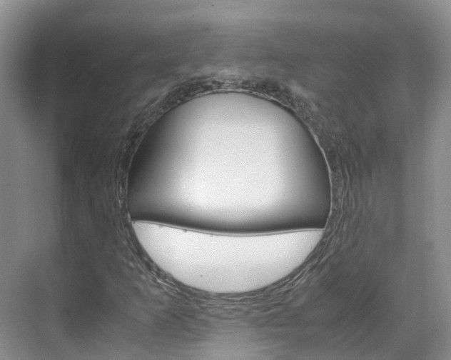X0000071811253200606301026