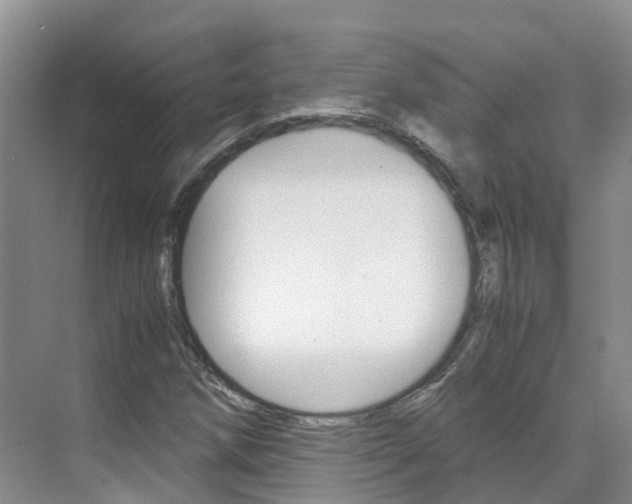 X0000071811258200606301026