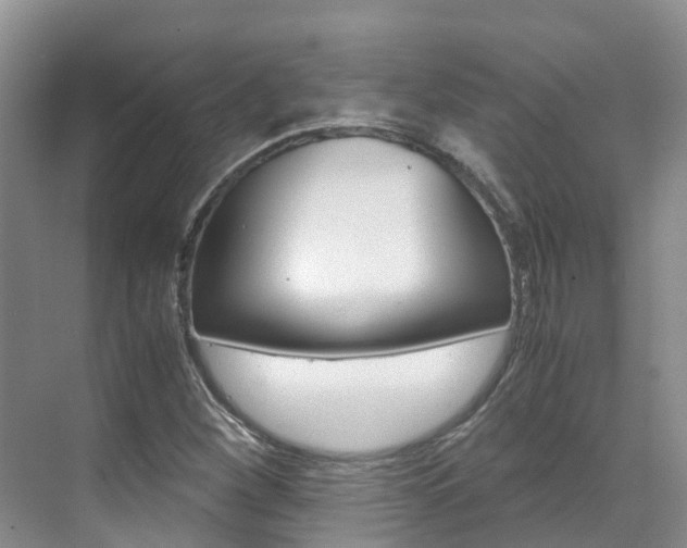 X0000071811260200606301026