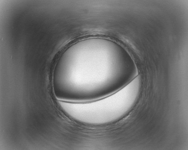 X0000071811261200606301026