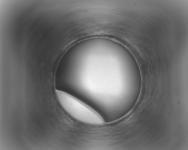 X0000071811265200606301026