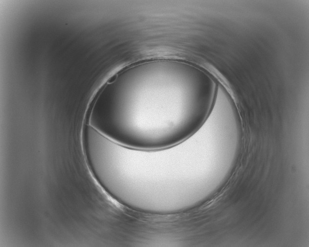 X0000071811293200606301026