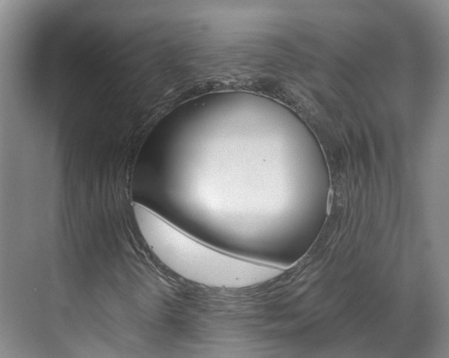 X0000071811298200606301025