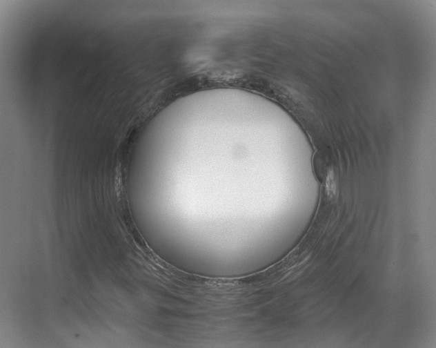 X0000071811299200606301025