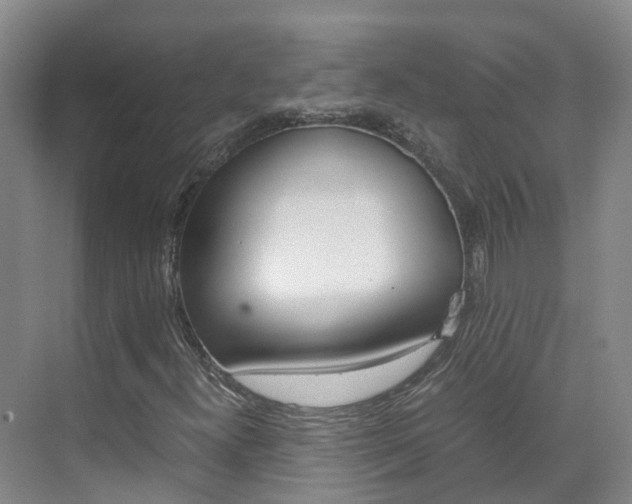 X0000071811300200606301025