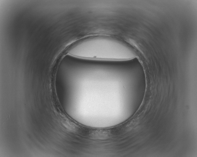 X0000071811307200606301025