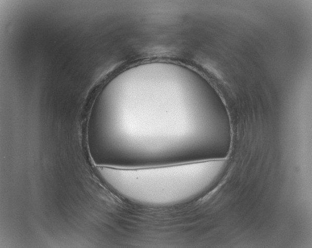 X0000071811309200606301025